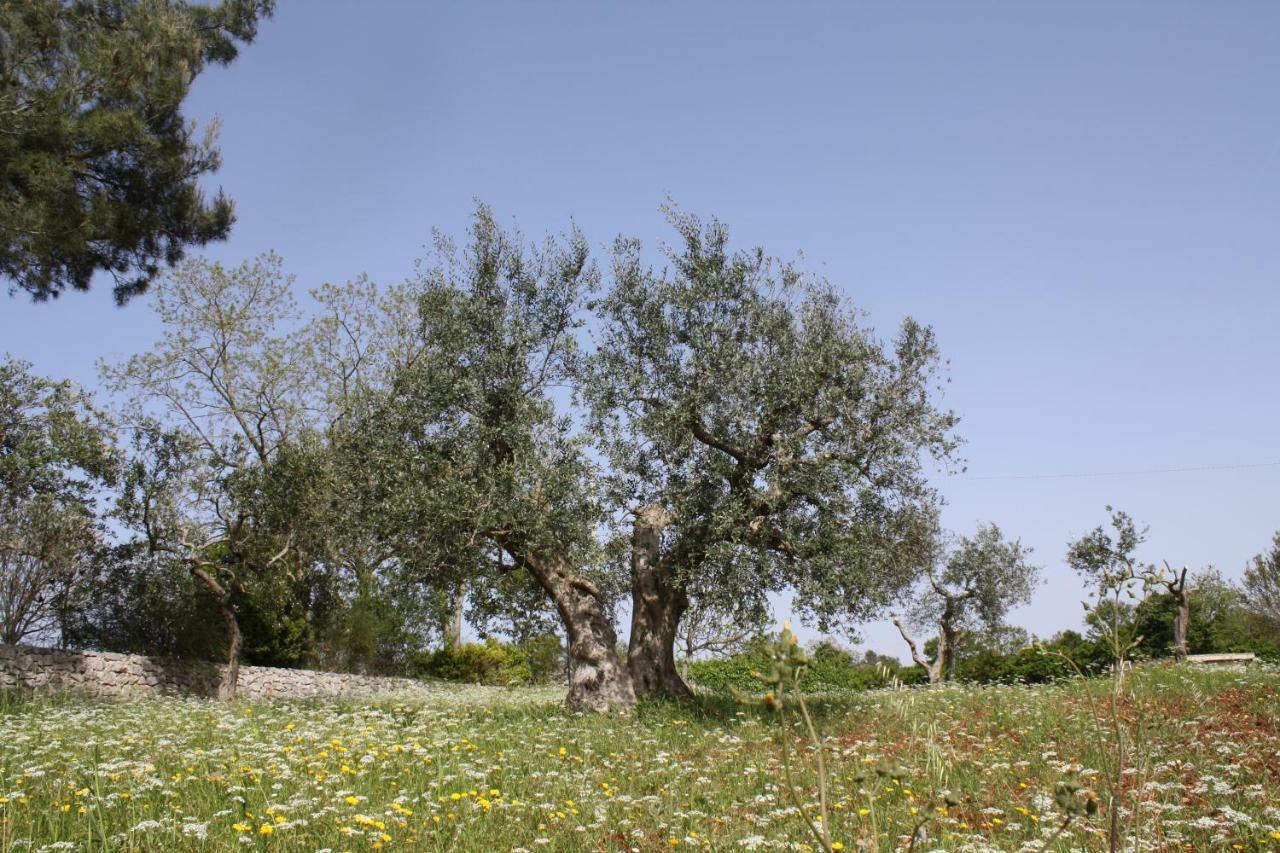 L'eremo Leilighet Alberobello Eksteriør bilde
